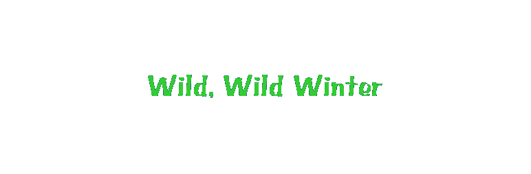 Wild, Wild Winter